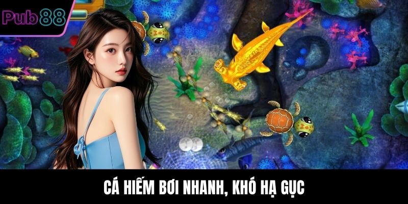 Cá hiếm bơi nhanh, khó hạ gục