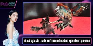 Đá gà cựa sắt