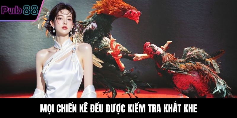 Mọi chiến kê đều được kiểm tra khắt khe